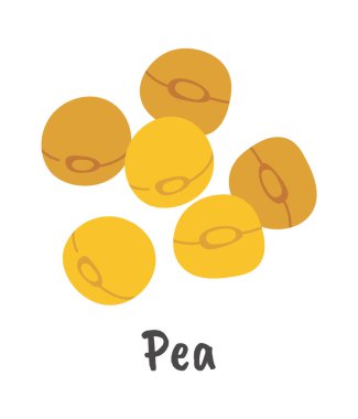 Bezelye düz ikon Tarım Bitkileri Tarım. Vektör illüstrasyonu