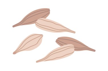 Arpa tanesi düz mısır gevreği tohumu tarımı. Vektör illüstrasyonu