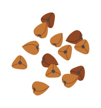 Karabuğday tohumları düz ikon bitki ekimi tarım. Vektör illüstrasyonu