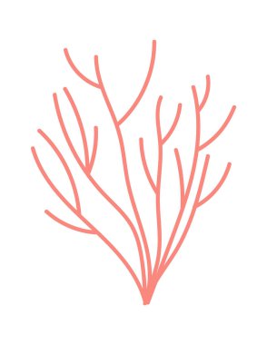 Bitki bitkisi dekorasyonu için teraryum. Vektör illüstrasyonu