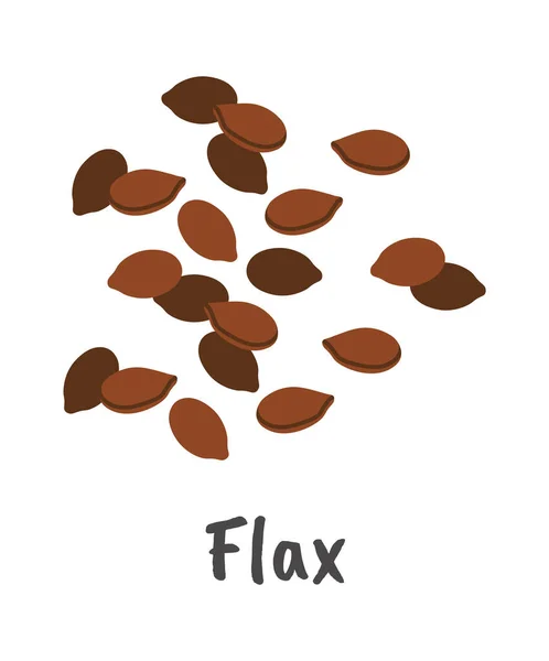 Ikona Plochých Semen Lněných Semen Rostlina Kvetoucí Vektorová Ilustrace — Stockový vektor