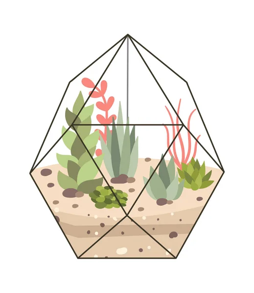 Glas Terrarium Med Växter Platt Ikon Inredning Element Vektorillustration — Stock vektor