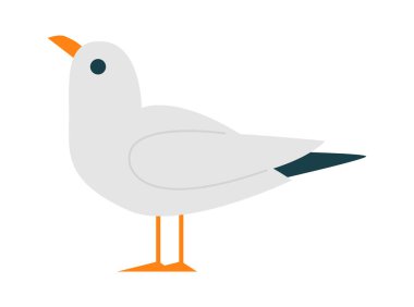 Tatlı çizgi film martı kuşu düz siyah ve beyaz tüyleri. Vektör illüstrasyonu