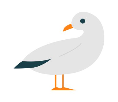 Tatlı çizgi film martı kuşu düz siyah ve beyaz tüyleri. Vektör illüstrasyonu