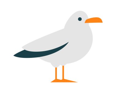 Tatlı çizgi film martı kuşu düz siyah ve beyaz tüyleri. Vektör illüstrasyonu