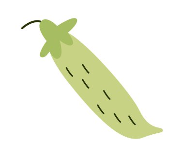 Yeşil bezelye yassı organik çiftlik sebzesi. Vektör illüstrasyonu