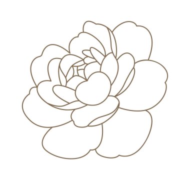 Sanat tarzında şakayık çiçekler. Çağdaş çiçek tasarımı. Vektör illüstrasyonu