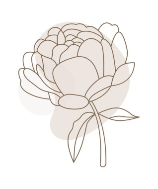 Sanat tarzında şakayık çiçekler. Çağdaş çiçek tasarımı. Vektör illüstrasyonu