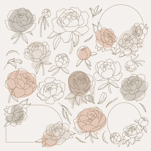 Цветы Листья Пиона Стиле Модерн Современный Цветочный Дизайн Весенние Цветы — стоковый вектор