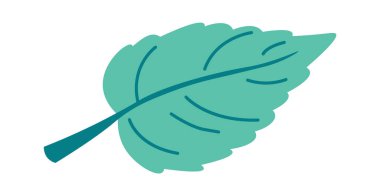 Şirin çizgi film yaprağı düz yeşil dekor elementi. Vektör illüstrasyonu