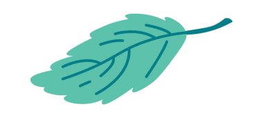 Şirin çizgi film yaprağı düz yeşil dekor elementi. Vektör illüstrasyonu