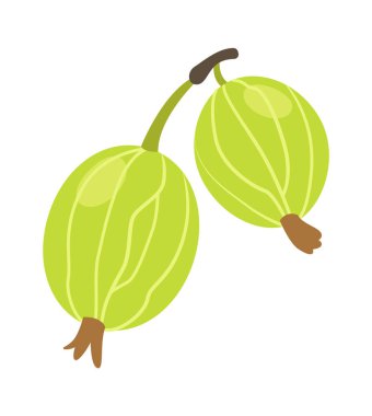 Bektaşi üzümü organik meyve yassı ikonu. Vektör illüstrasyonu