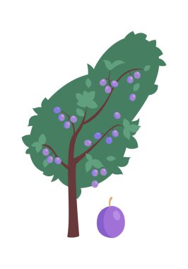 Tatlı erik ağacı düz ikonu tarım ve bahçecilik. Vektör illüstrasyonu