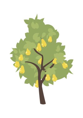 Armut ağacı düz ikon tarım ekimi. Vektör illüstrasyonu