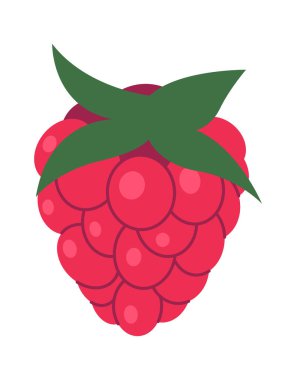 Lezzetli organik ahududu meyve tatlısı. Vektör illüstrasyonu