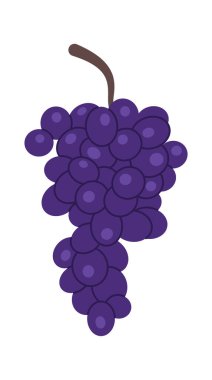 Üzümlü, yassı, lezzetli organik meyve. Vektör illüstrasyonu