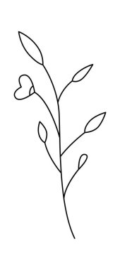 Yapraklar ve çiçek çizgileri çağdaş çiçek tasarımı. Vektör illüstrasyonu