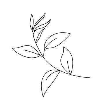 Yapraklar ve çiçek çizgileri çağdaş çiçek tasarımı. Vektör illüstrasyonu