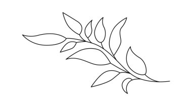 Yapraklar ve çiçek çizgileri çağdaş çiçek tasarımı. Vektör illüstrasyonu