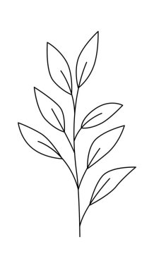 Yapraklar ve çiçek çizgileri çağdaş çiçek tasarımı. Vektör illüstrasyonu