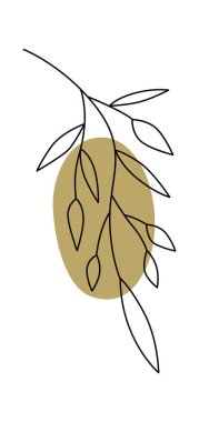 Yapraklar ve çiçek çizgileri çağdaş çiçek tasarımı. Vektör illüstrasyonu