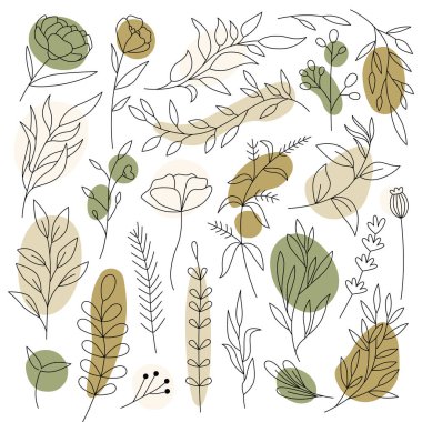 Çiçekler ve yapraklar sanat setinde. Çağdaş çiçek tasarımı. Bahar çiçekleri açar. Güzel buket. Renksel izole çizimler