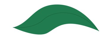 Yaban çiçeği yaprağı dekoru düz simge. Vektör illüstrasyonu