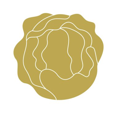 Soyut el çizimi lahana yassı simge. Vektör illüstrasyonu