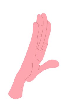 İnsan eli düz jest simgesi gösteriyor. Vektör illüstrasyonu