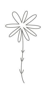 Dandelion flower line art Contemporary floral design. Vector illustration