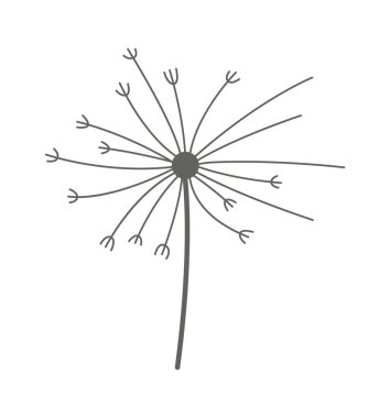Dandelion flower line art Contemporary floral design. Vector illustration