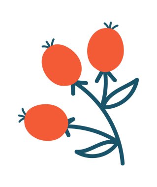 Hand drawn fruit doodle element flat icon. Vector illustration