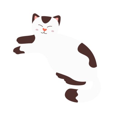 Cute domestic animal kitty flat icon White and black cat. Vector illustration