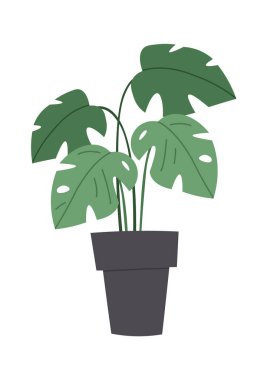 Home Plant in a Pot. Vector illustration
