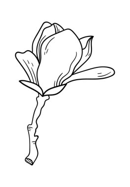 Magnolia flower sprout line art Contemporary floral design. Vector illustration