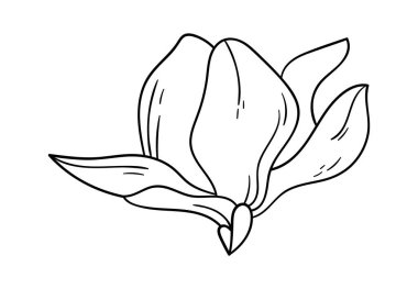 Blooming magnolia line art Contemporary floral design. Vector illustration