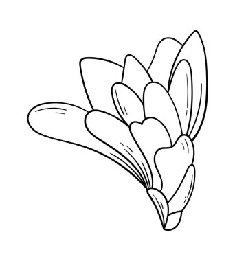 Magnolia flower line art Contemporary floral design. Vector illustration