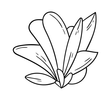 Blooming magnolia flower line art Contemporary floral design. Vector illustration
