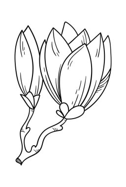 Blooming magnolia flower line art Contemporary floral design. Vector illustration
