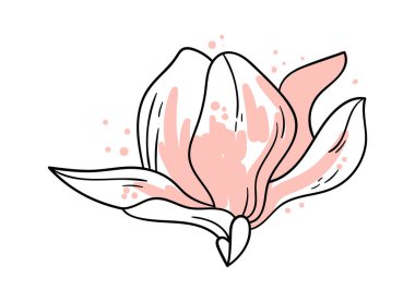 Magnolia flower line art Contemporary floral design. Vector illustration