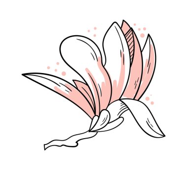 Magnolia flower line art Contemporary floral design. Vector illustration