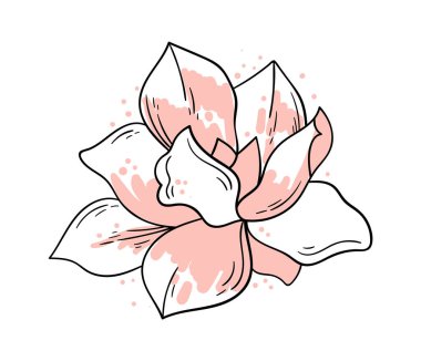 Magnolia flower line art Contemporary floral design. Vector illustration