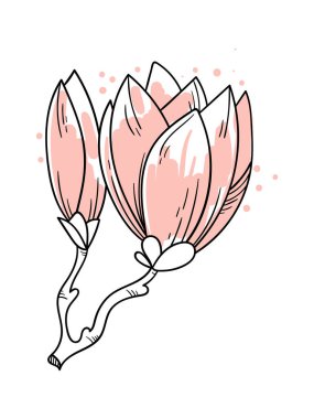 Blooming magnolia on branch line art Contemporary floral design. Vector illustration