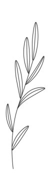 Wildflowers line art Contemporary floral design. Vector illustration