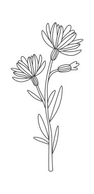 Wildflowers line art Contemporary floral design. Vector illustration