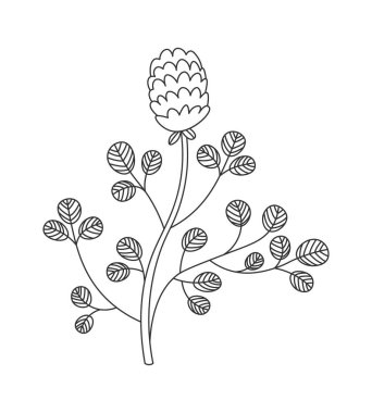 Wildflowers line art Contemporary floral design. Vector illustration