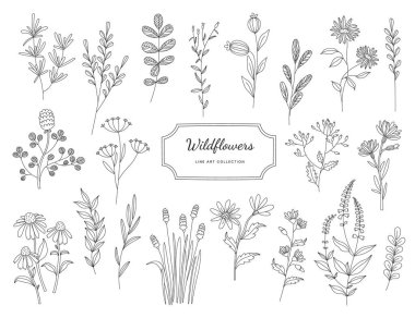 Wildflowers flowers and leaves in line art style icons set. Contemporary floral design. Spring flowers blossom. Beautiful bouquet. Color isolated illustrations