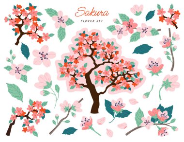 Blooming sakura flat icons set. Traditional japanese cherry tree. Bloom, branch and leaves. Decorative plant for garden. Spring flowers. Color isolated illustrations