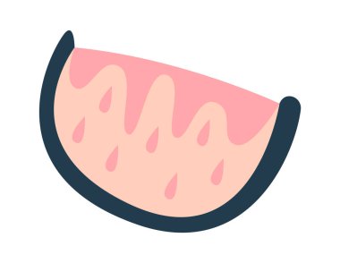 Watermelon fruit abstract summer element flat icon. Vector illustration