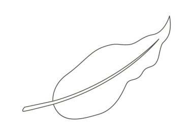Leaf of tropical plant line art design element. Vector illustration